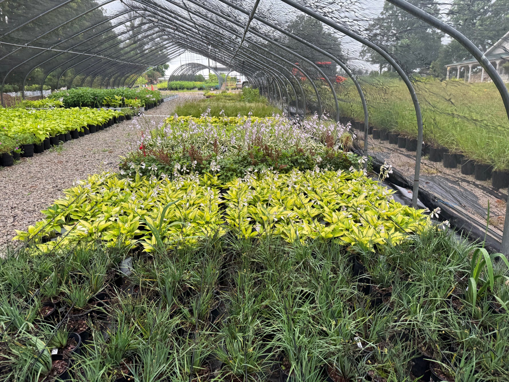 Plants & Winter Plant Storage Kelly Nursery LLC