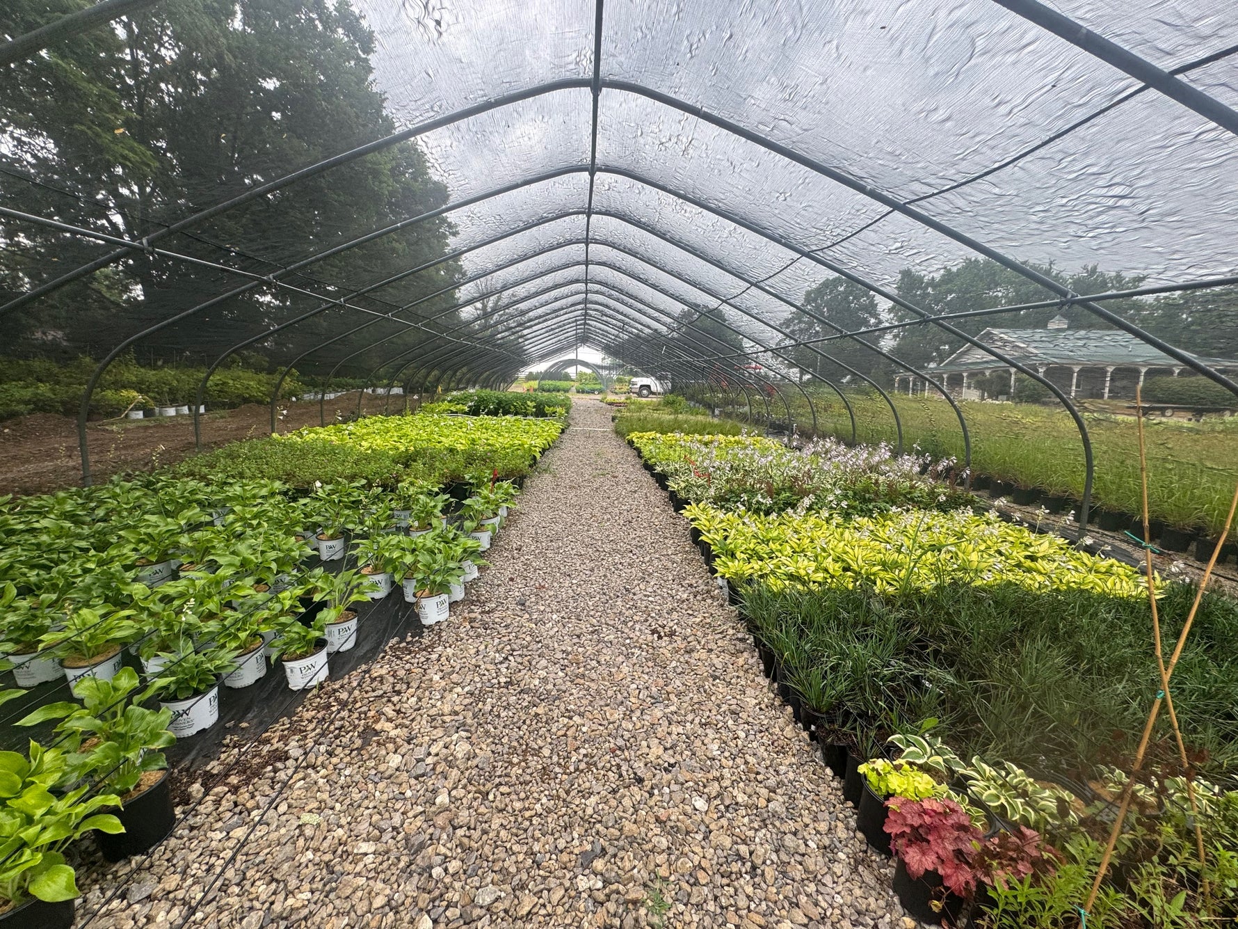 Plants & Winter Plant Storage Kelly Nursery LLC