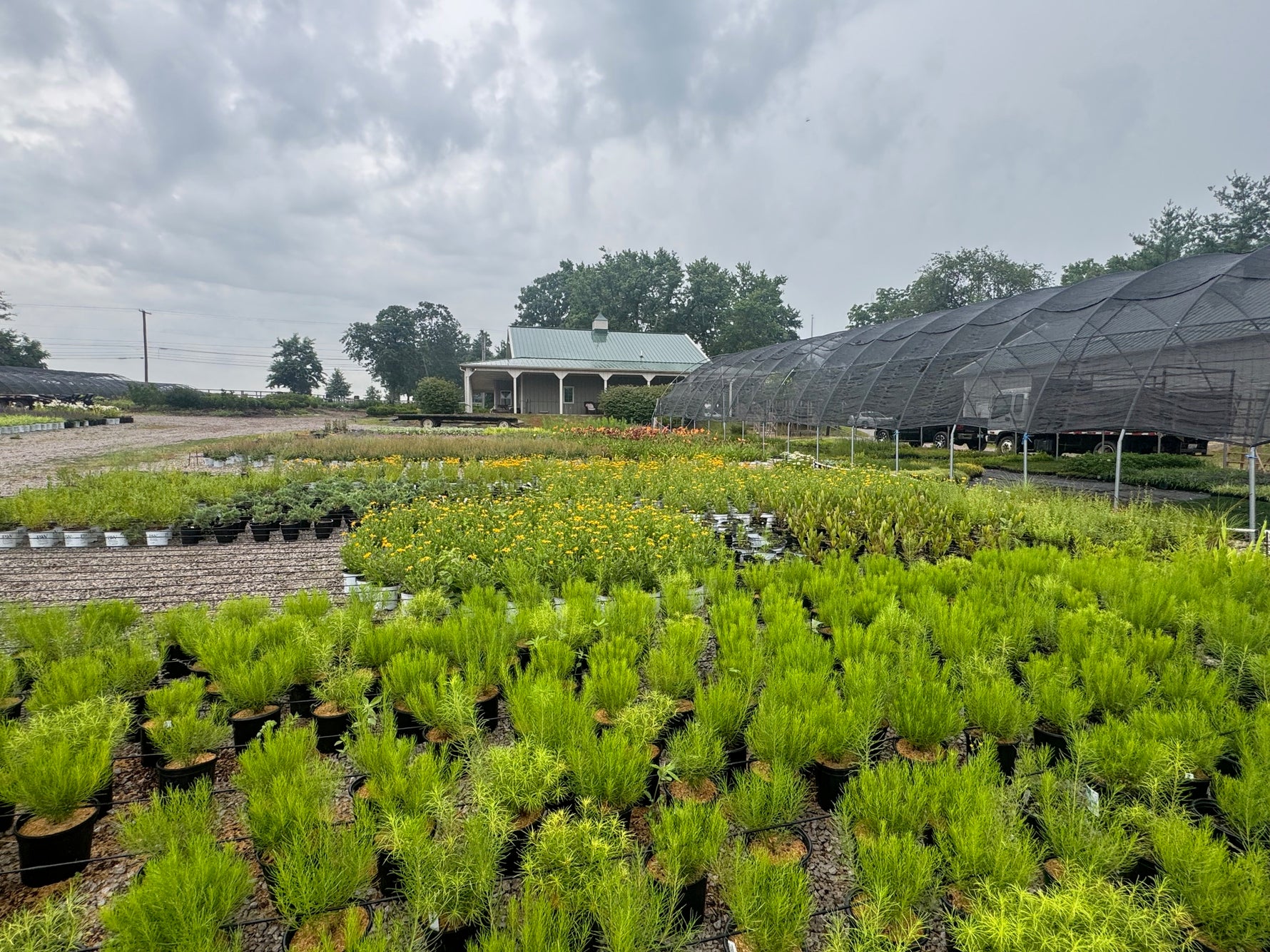 Plants & Winter Plant Storage Kelly Nursery LLC